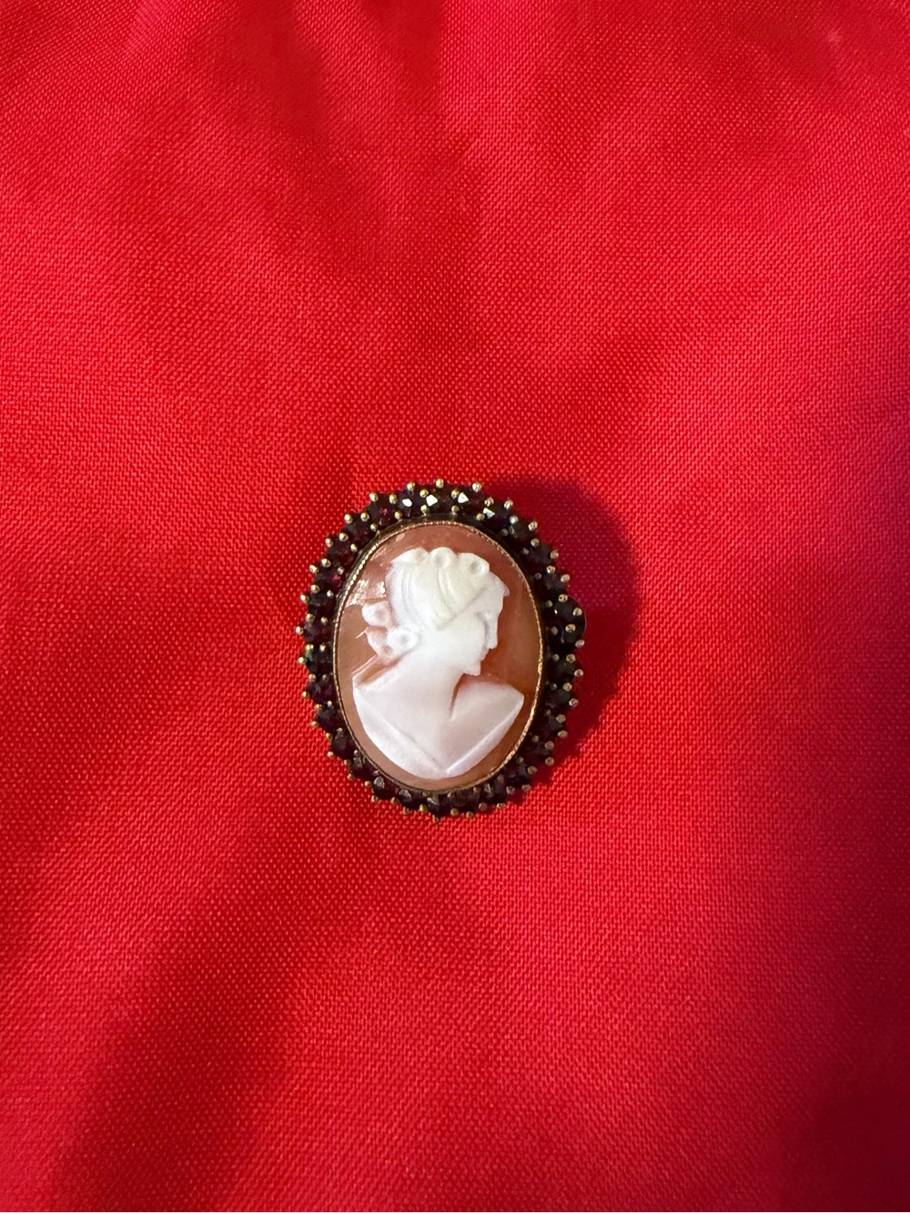 Antique Silver And Garnet Cameo Brooch